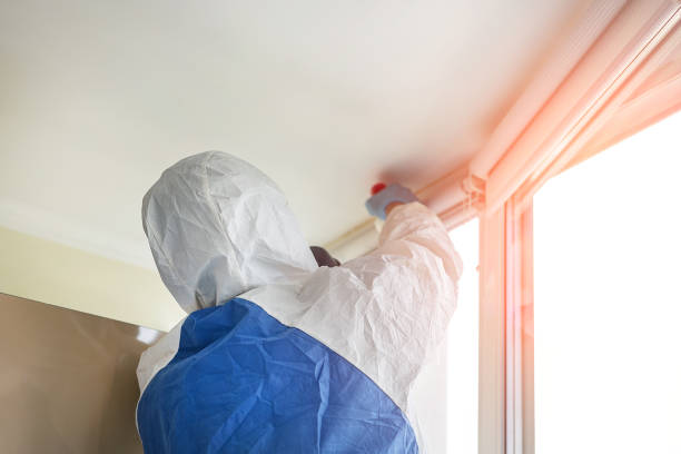 Best Mold Prevention Services  in Wyomissing, PA