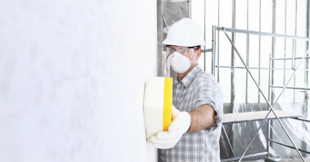 Best Environmental Consulting for Mold Prevention  in Wyomissing, PA