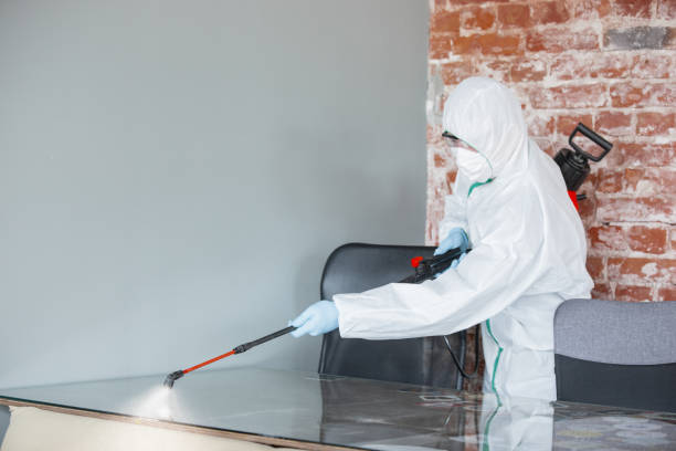 Best Mold Damage Restoration  in Wyomissing, PA