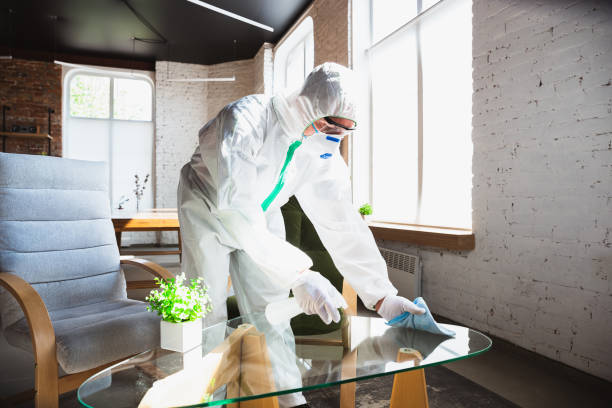 Best Mold Remediation for Healthcare Facilities  in Wyomissing, PA