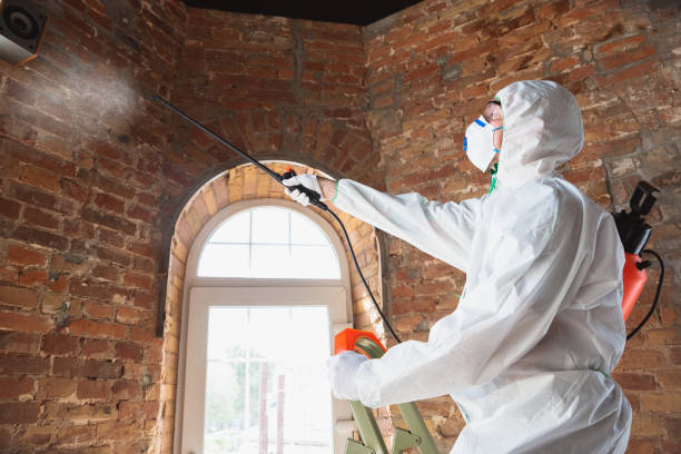 Best Mold Removal for HVAC Installations  in Wyomissing, PA